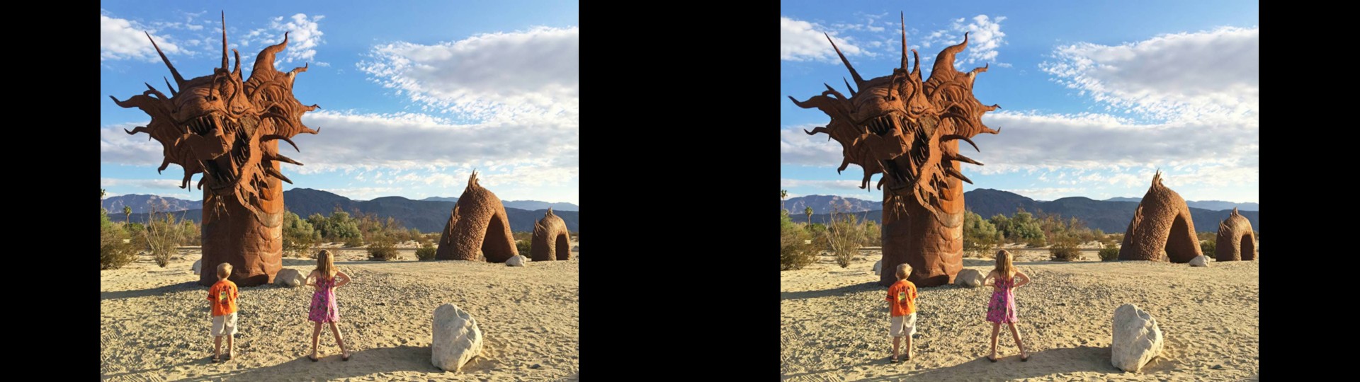 Borrego Dragon